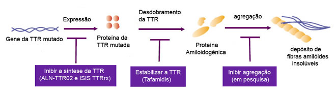 figura2-estudos_andamento.jpg