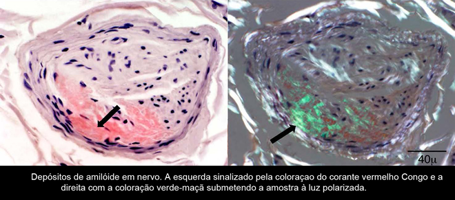 figura2-diagnostico.jpg