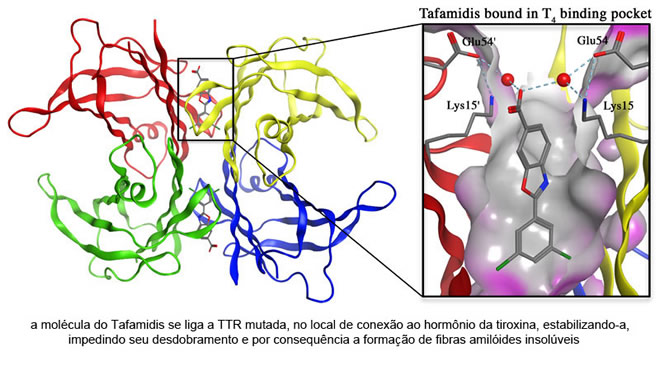 figura3_tratamentos.jpg